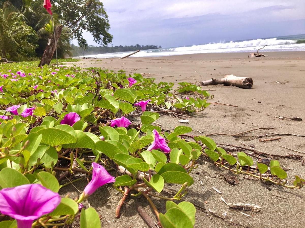 Coral Hill Bungalows Cahuita Esterno foto