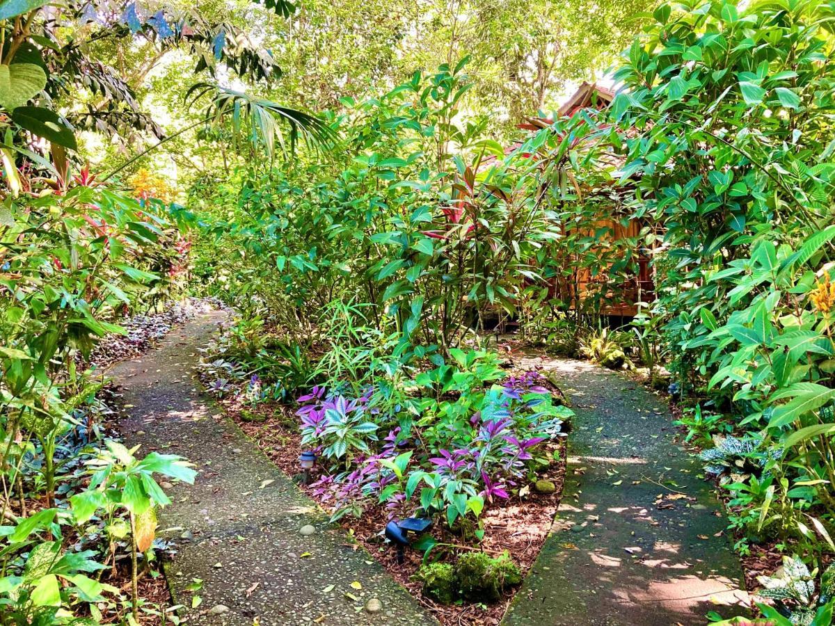 Coral Hill Bungalows Cahuita Esterno foto