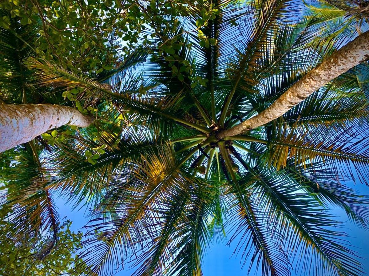 Coral Hill Bungalows Cahuita Esterno foto