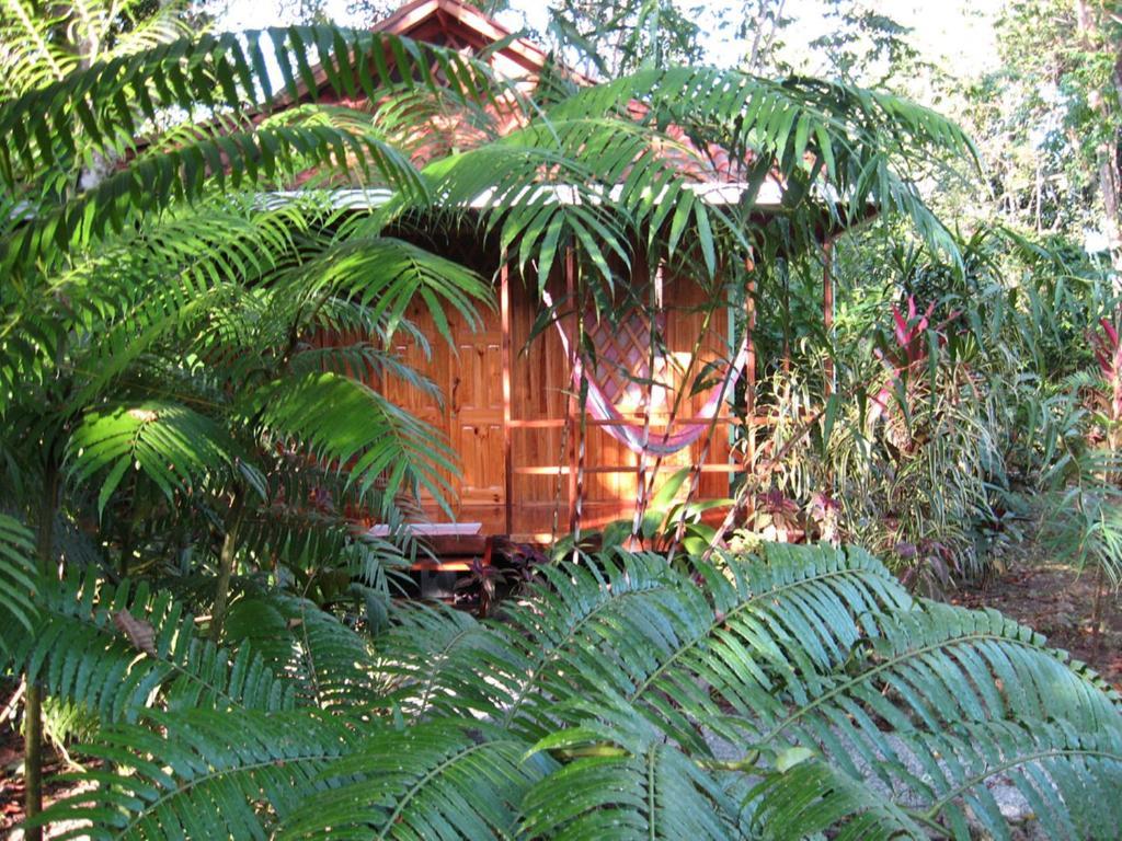 Coral Hill Bungalows Cahuita Esterno foto