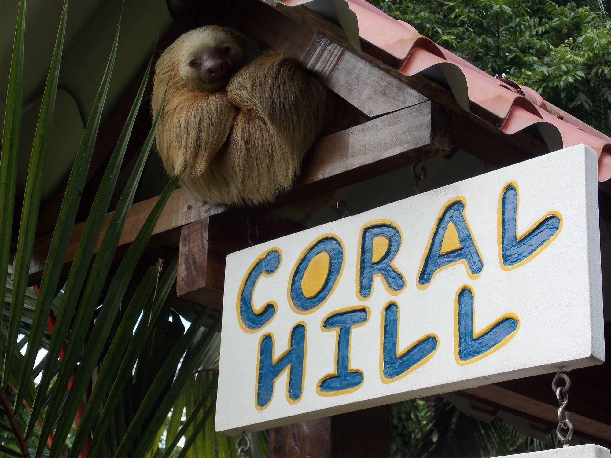 Coral Hill Bungalows Cahuita Esterno foto