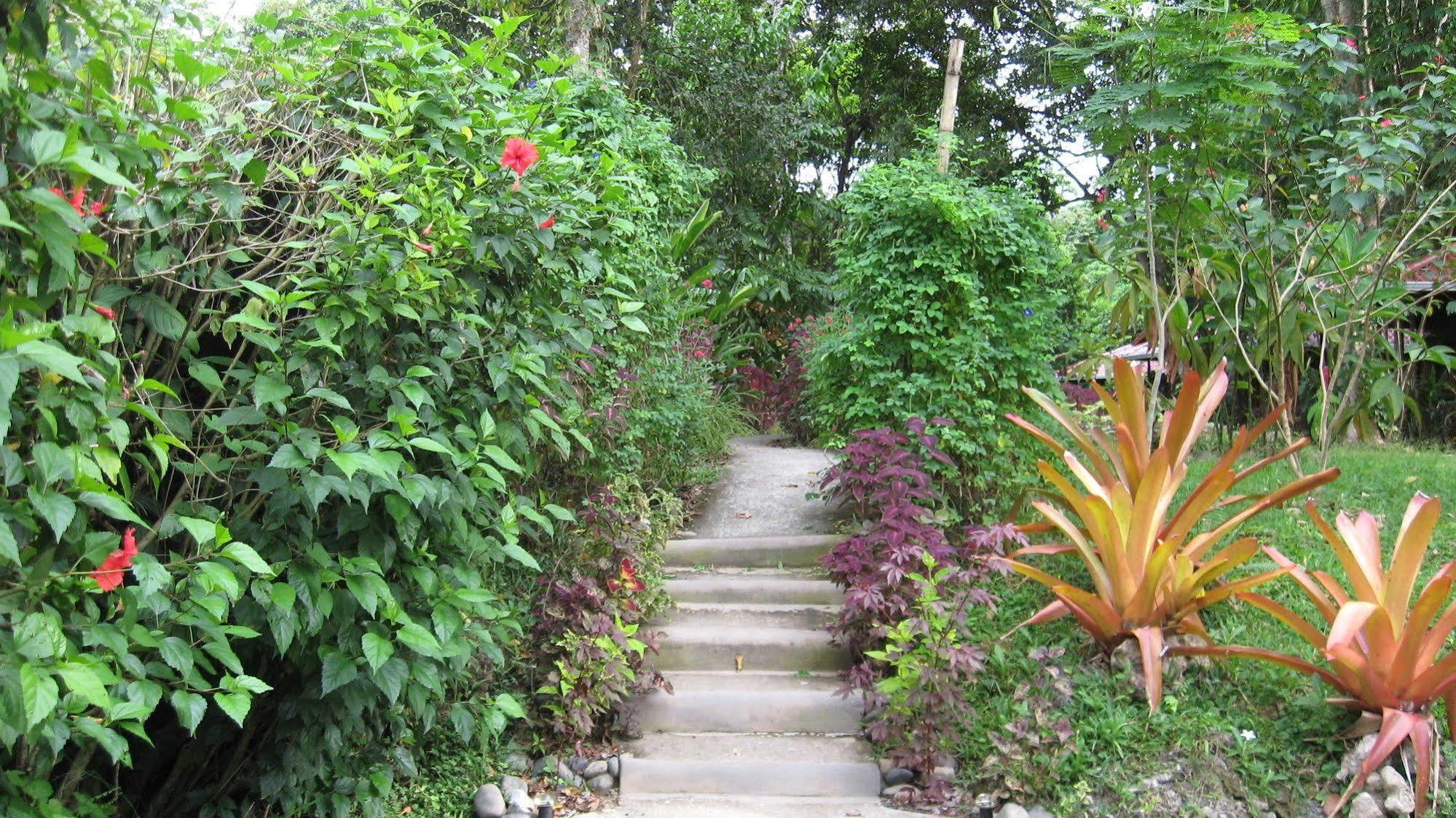Coral Hill Bungalows Cahuita Esterno foto