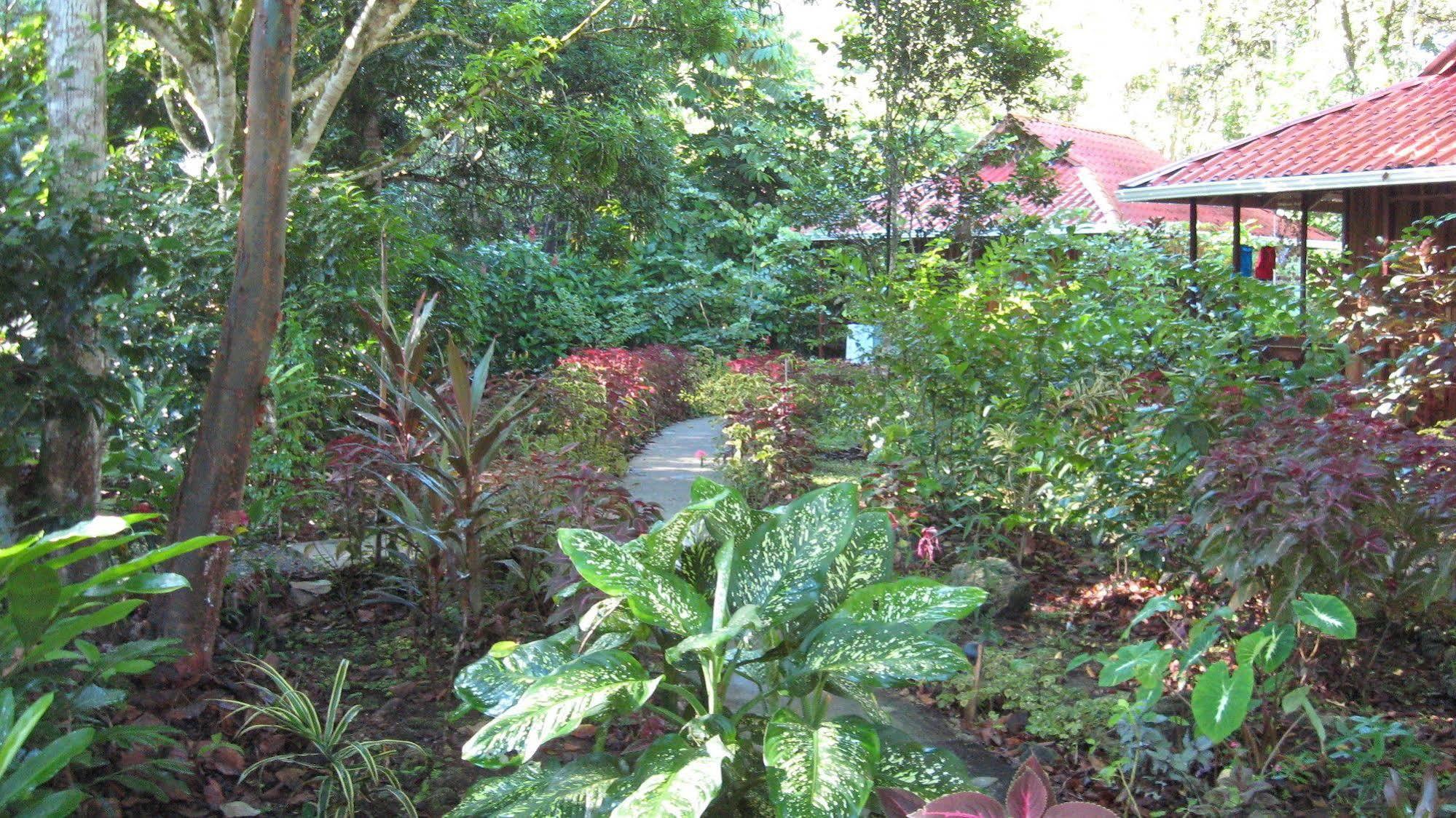Coral Hill Bungalows Cahuita Esterno foto